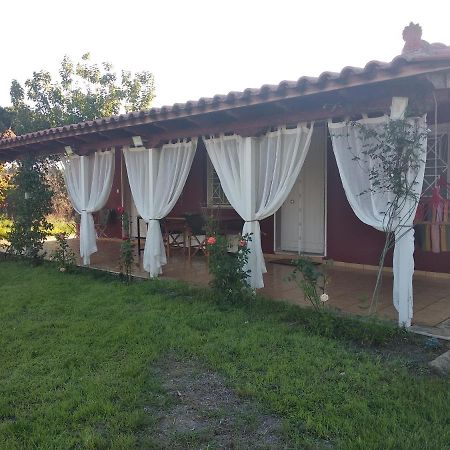 Olive Garden Guest House Kyparissia Exteriér fotografie
