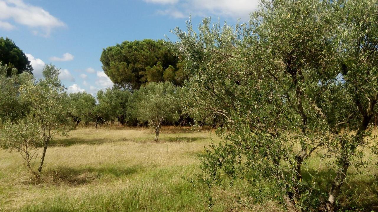 Olive Garden Guest House Kyparissia Exteriér fotografie