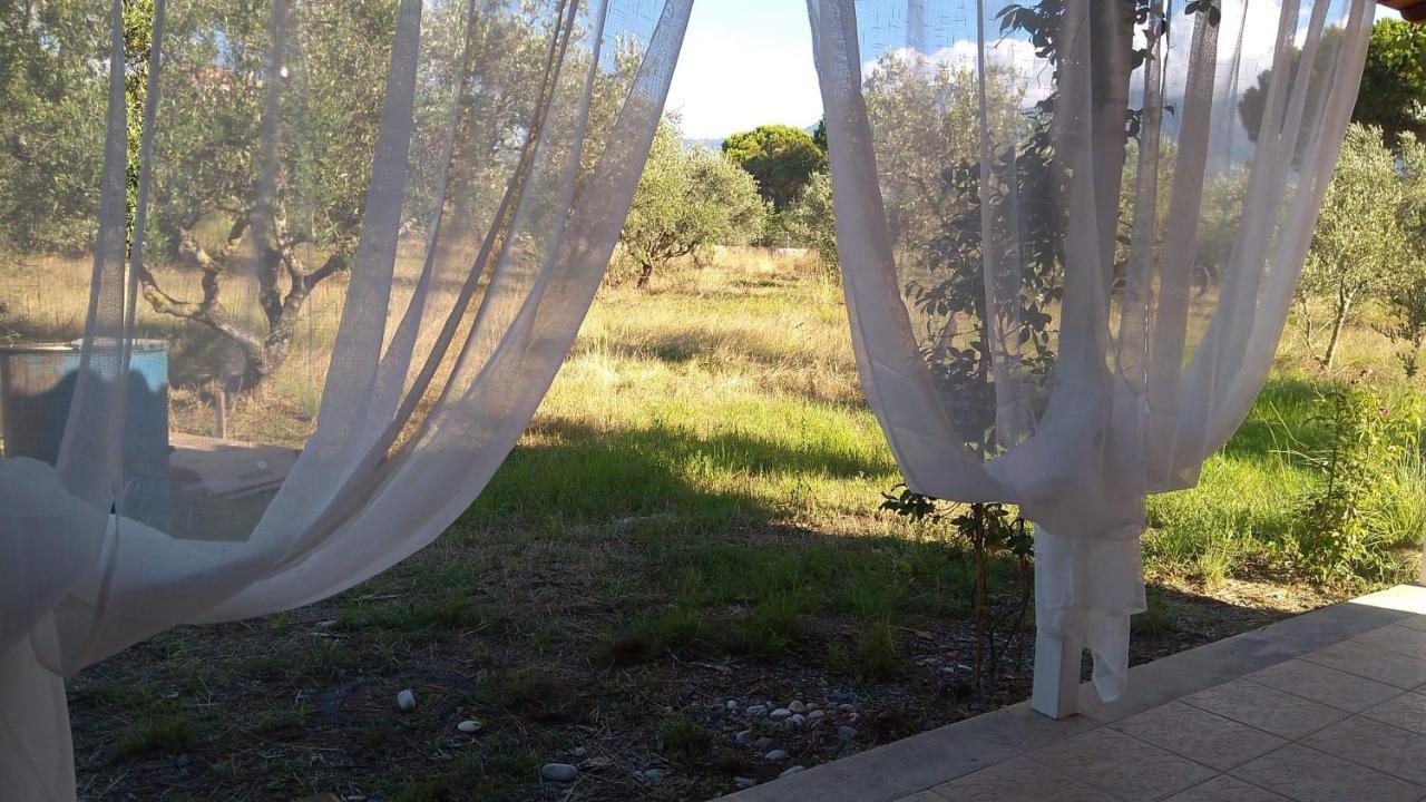 Olive Garden Guest House Kyparissia Exteriér fotografie