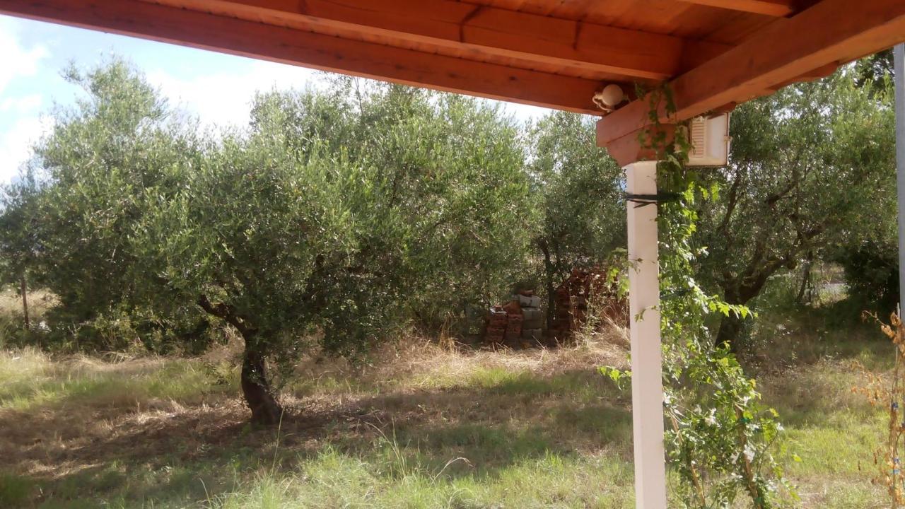 Olive Garden Guest House Kyparissia Exteriér fotografie