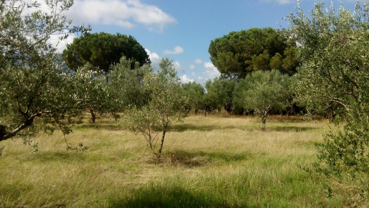 Olive Garden Guest House Kyparissia Exteriér fotografie