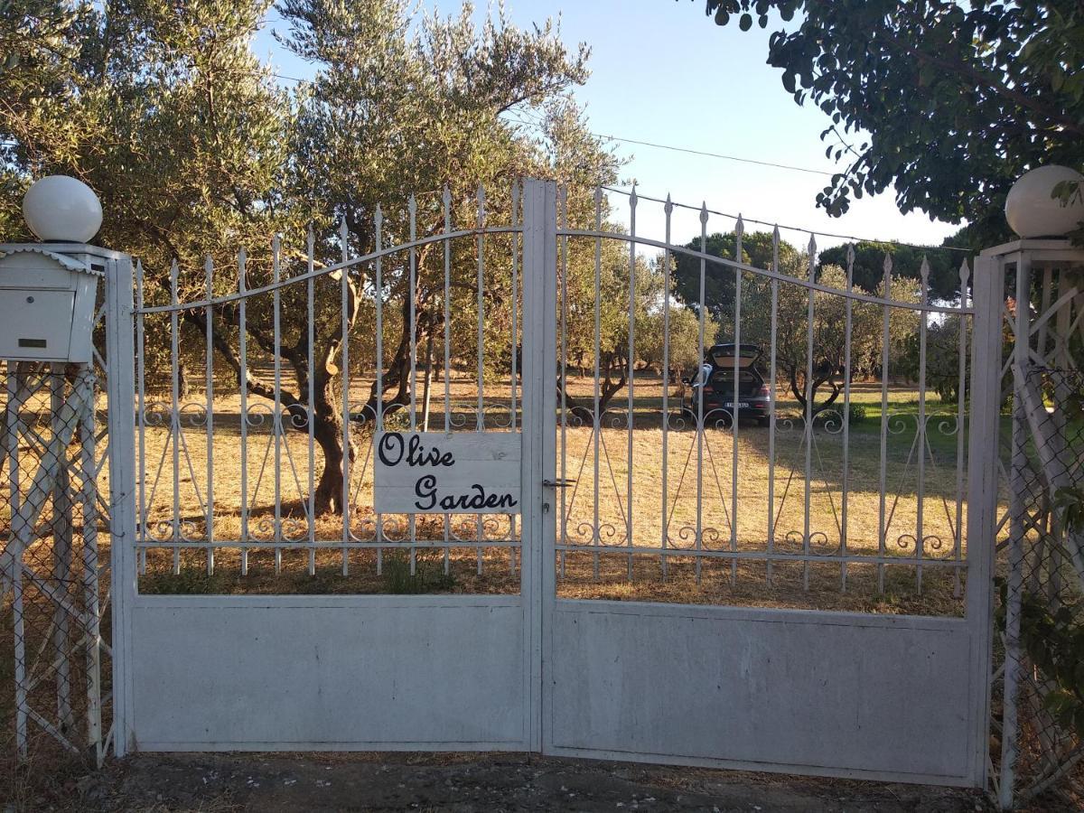 Olive Garden Guest House Kyparissia Exteriér fotografie