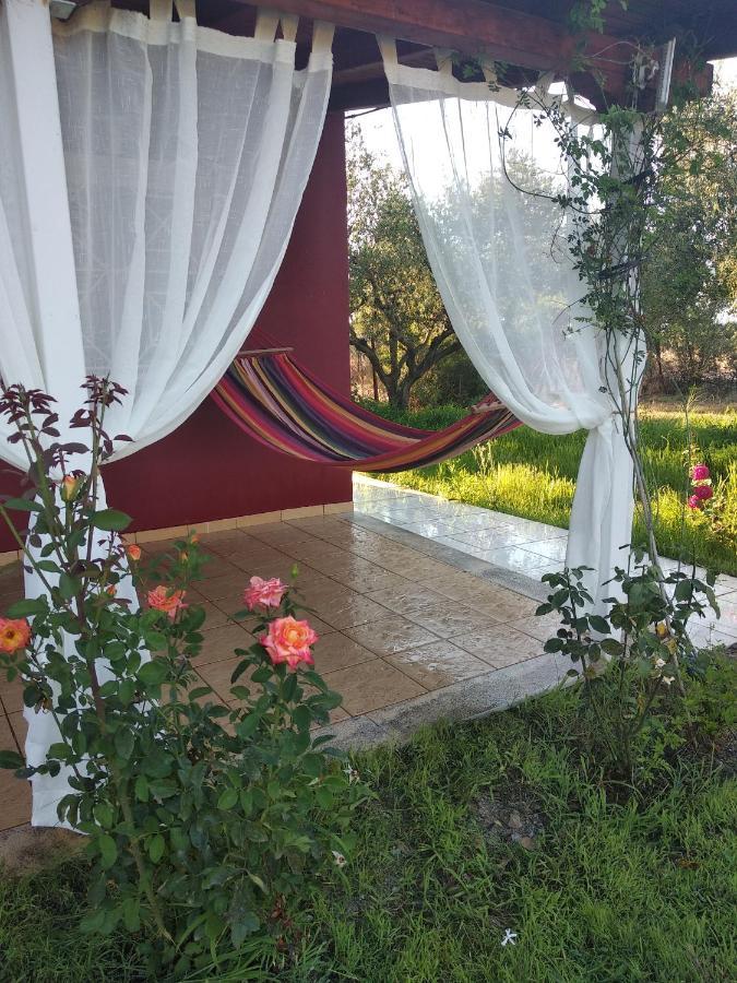 Olive Garden Guest House Kyparissia Exteriér fotografie