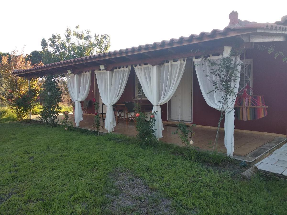 Olive Garden Guest House Kyparissia Exteriér fotografie